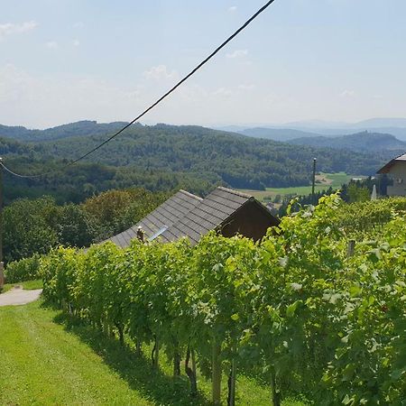 Zidanica Meglic - Vineyard Cottage Meglic トレビニェ エクステリア 写真