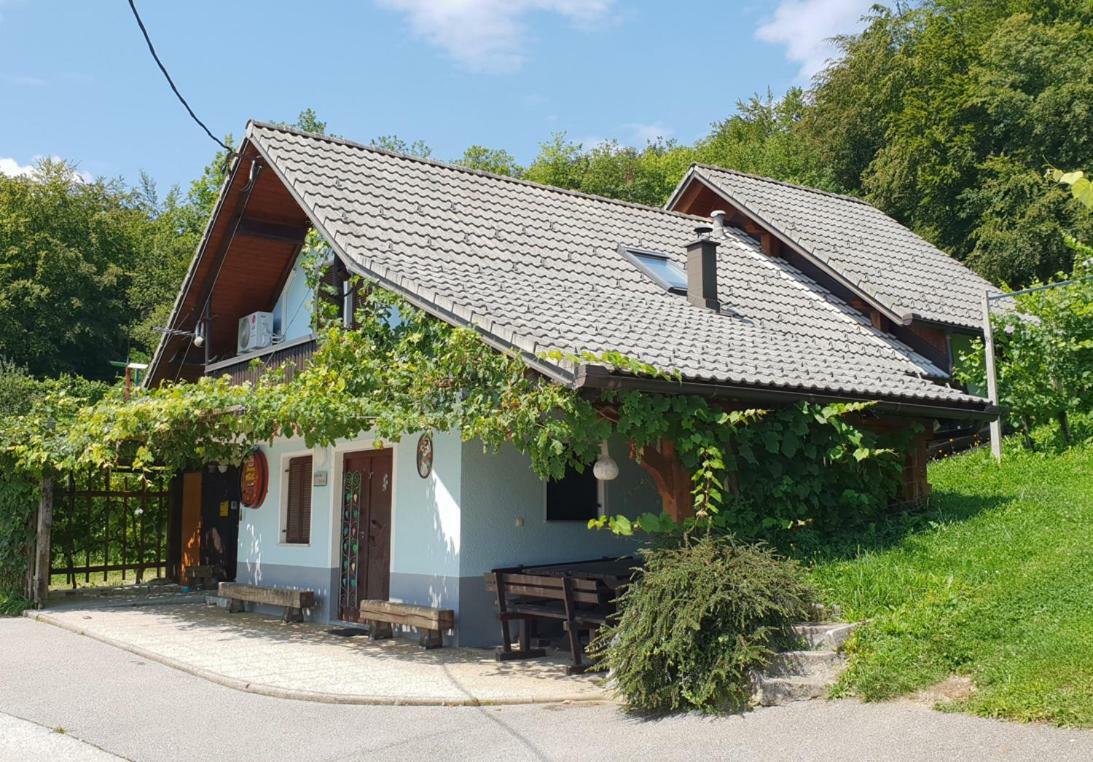 Zidanica Meglic - Vineyard Cottage Meglic トレビニェ エクステリア 写真