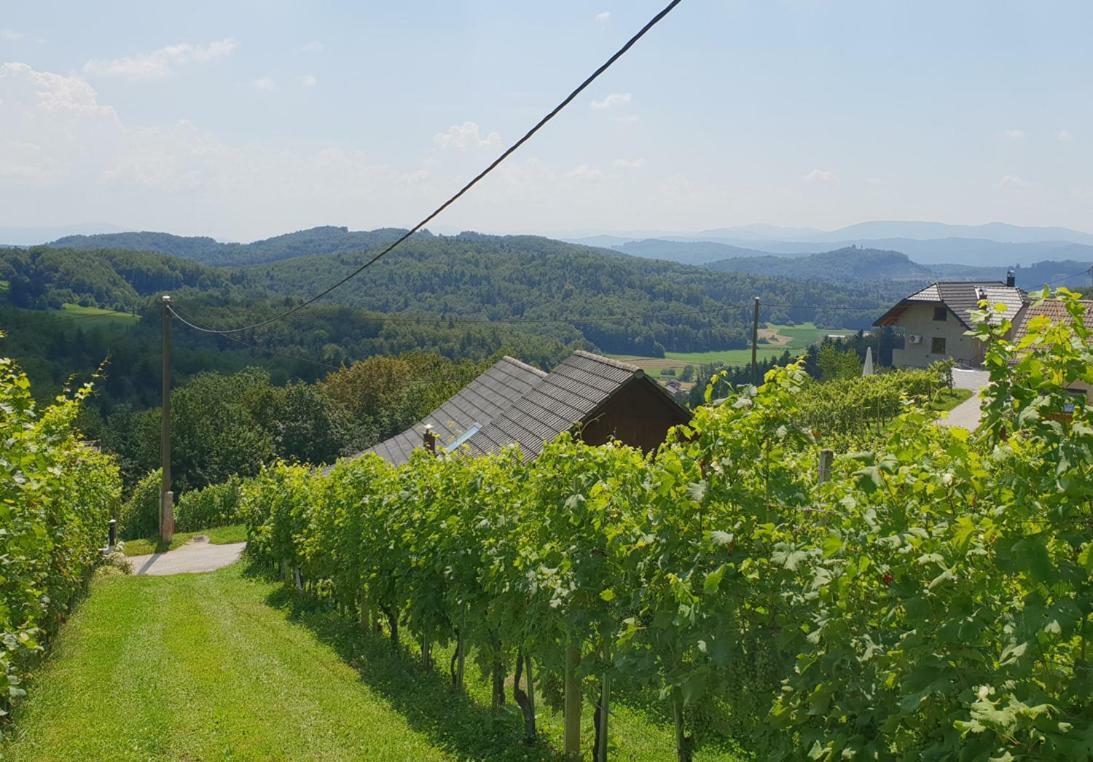 Zidanica Meglic - Vineyard Cottage Meglic トレビニェ エクステリア 写真