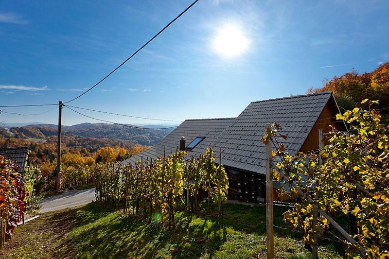 Zidanica Meglic - Vineyard Cottage Meglic トレビニェ エクステリア 写真